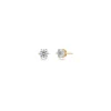 Edblad Korut|Kaikki Asusteet>korvakorut Crown Studs Mini Gold, Gold pleated