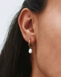 Edblad Korut|Kaikki Asusteet>korvakorut, helmet, PERLA HOOPS GOLD