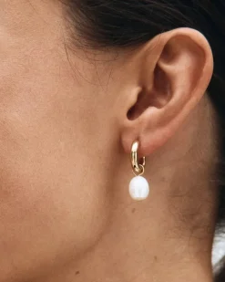 Edblad Korut|Kaikki Asusteet>korvakorut Perla Hoops L Gold, Gold pleated