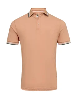 Gino marcello Pikeepaidat|Kaikki Paidat>Miesten Pikeepaita, K SALT PIKEE