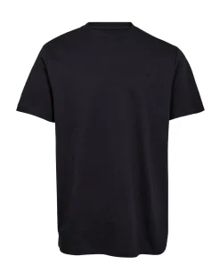 Gino marcello T-Paidat|Kaikki Paidat>miesten t-paita, COTTON T-SHIRT
