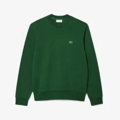 Lacoste Collegepaidat><noscript><img width=