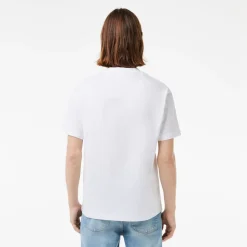 Lacoste T-Paidat|Kaikki Paidat>Miesten T-Paita, MID WEIGHT COTTON JERSEY T-SHIRT NOS