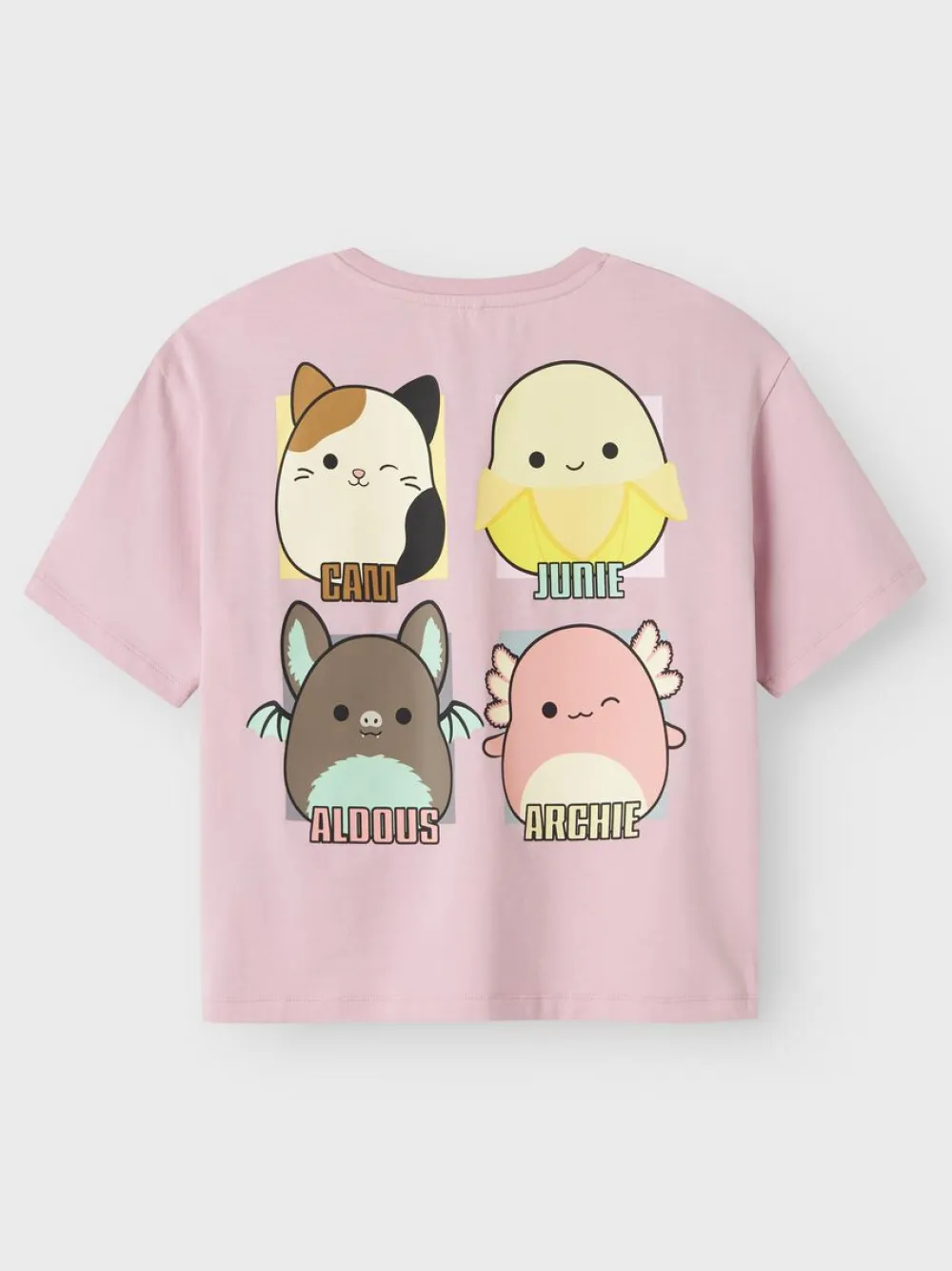 Name It T-Paidat|Kaikki Paidat>lasten t-paita, NKFMOMI SQUISH SS RLX TOP