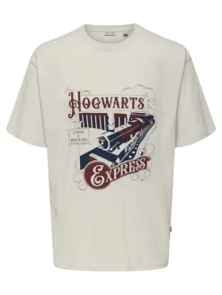 Only and Sons T-Paidat|Kaikki Paidat>miesten t-paita, ONSXMAS RLX SS TEE HP