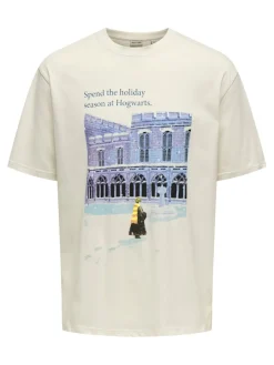 Only and Sons T-Paidat|Kaikki Paidat>miesten t-paita ONSXMAS RLX SS TEE HP,