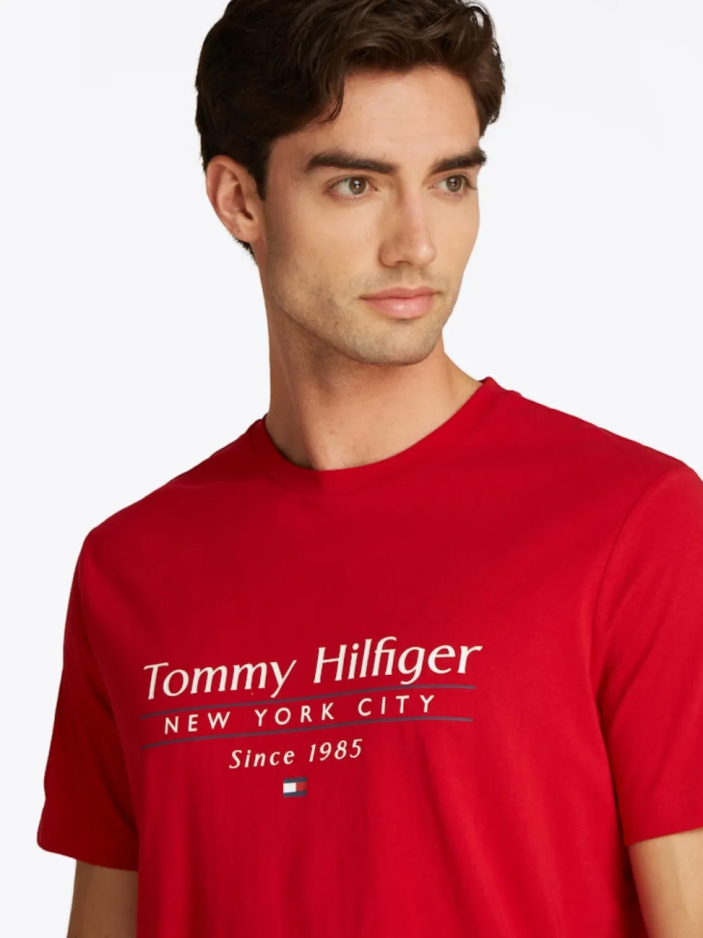 Tommy Hilfiger T-Paidat|Kaikki Paidat>miesten t-paita, HILFIGER CENTER STACK LOGO TEE