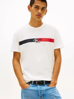 Tommy Jeans T-Paidat>miesten t-paita TJM REG SIGNATURE STRIPE T EXT,