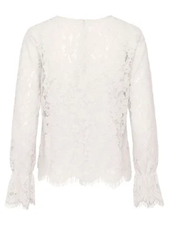 Y.A.S Puserot><noscript><img width=