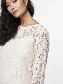 Y.A.S Puserot><noscript><img width=